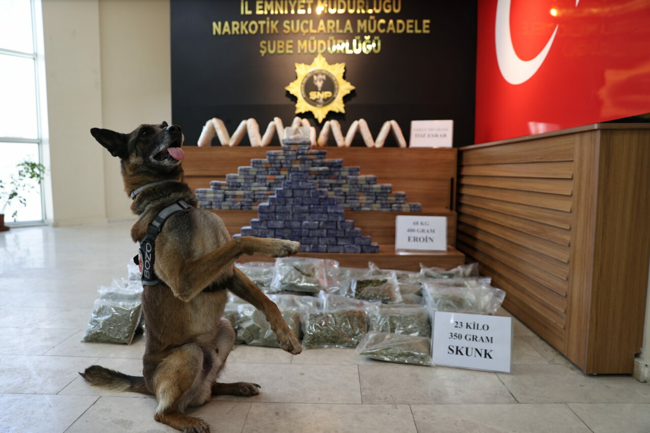 Zehir tacirlerine darbe