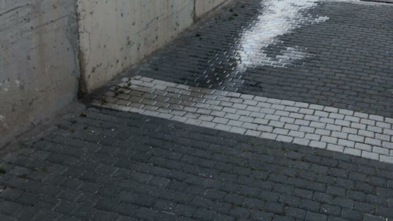 Mudanya’da site sakinlerinden kanalizasyon sızıntısı isyanı Mudanya’nın Halitpaşa Mahallesi’nde, kanalizasyon sızıntısı Zeytinli Bahçe Sitesi sakinlerine endişe