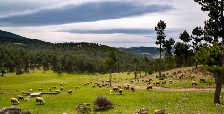Bursa’nın saklı kalmış hazinesini gün yüzüne çıkaracak proje Bursa’nın saklı kalmış hazinesini gün yüzüne çıkaracak proje
