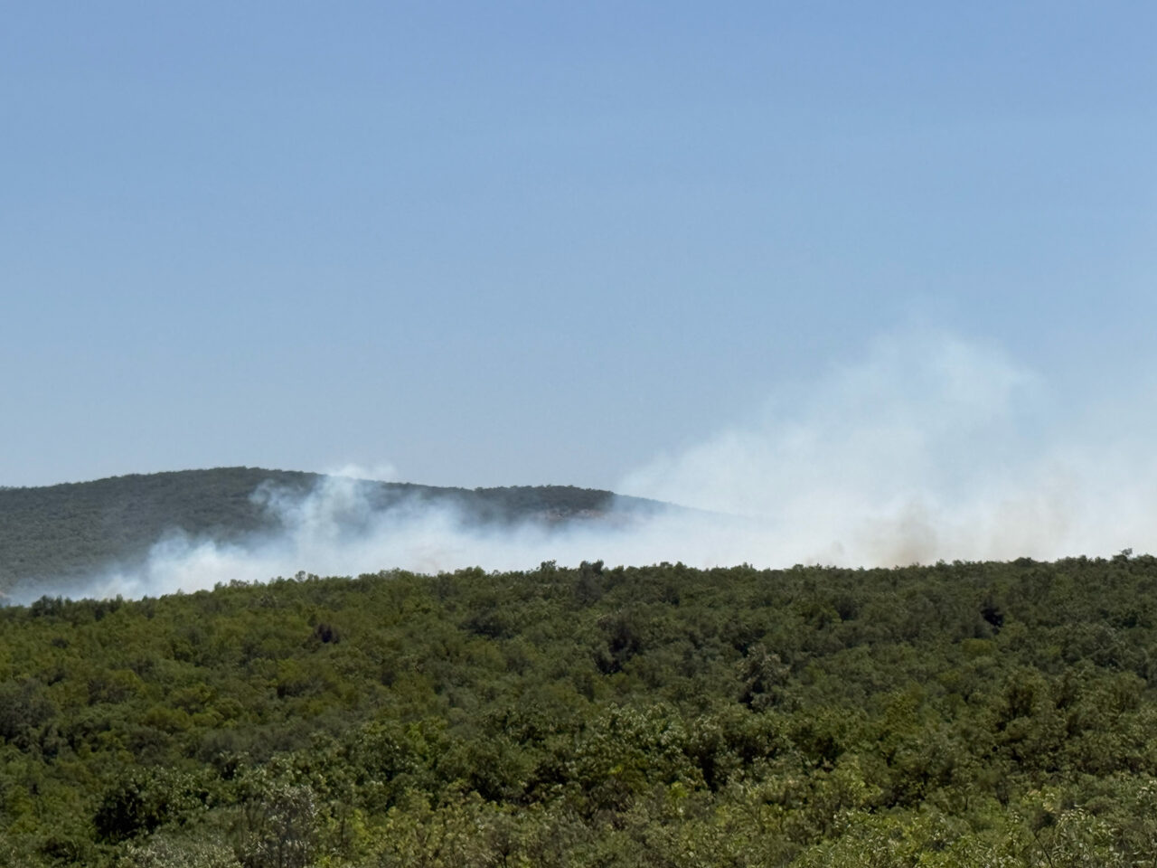 Bursa Kayapa’da orman yangını