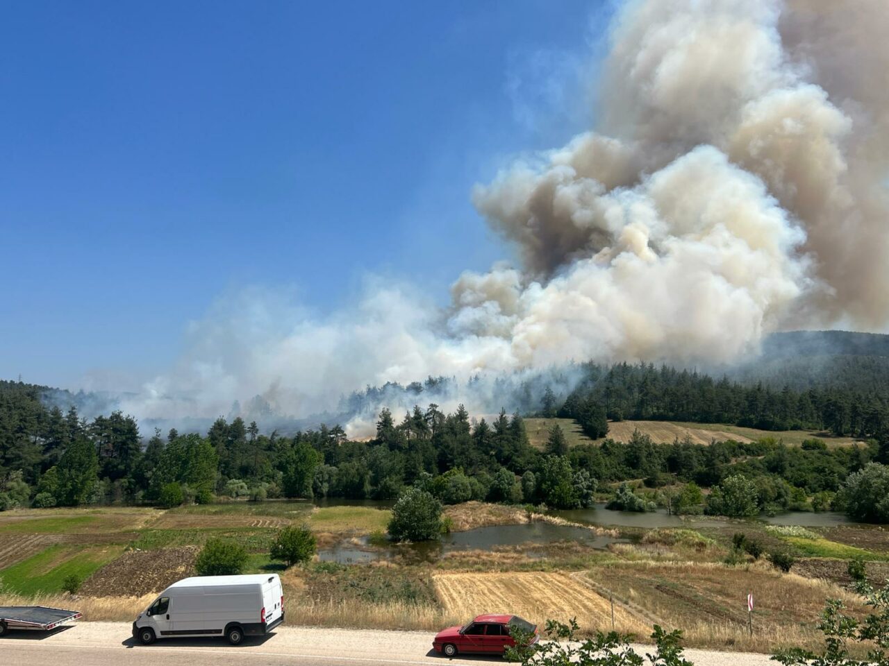 Bursa’nın bir bölgesinde daha orman yangını Bursa’nın bir bölgesinde daha orman yangını