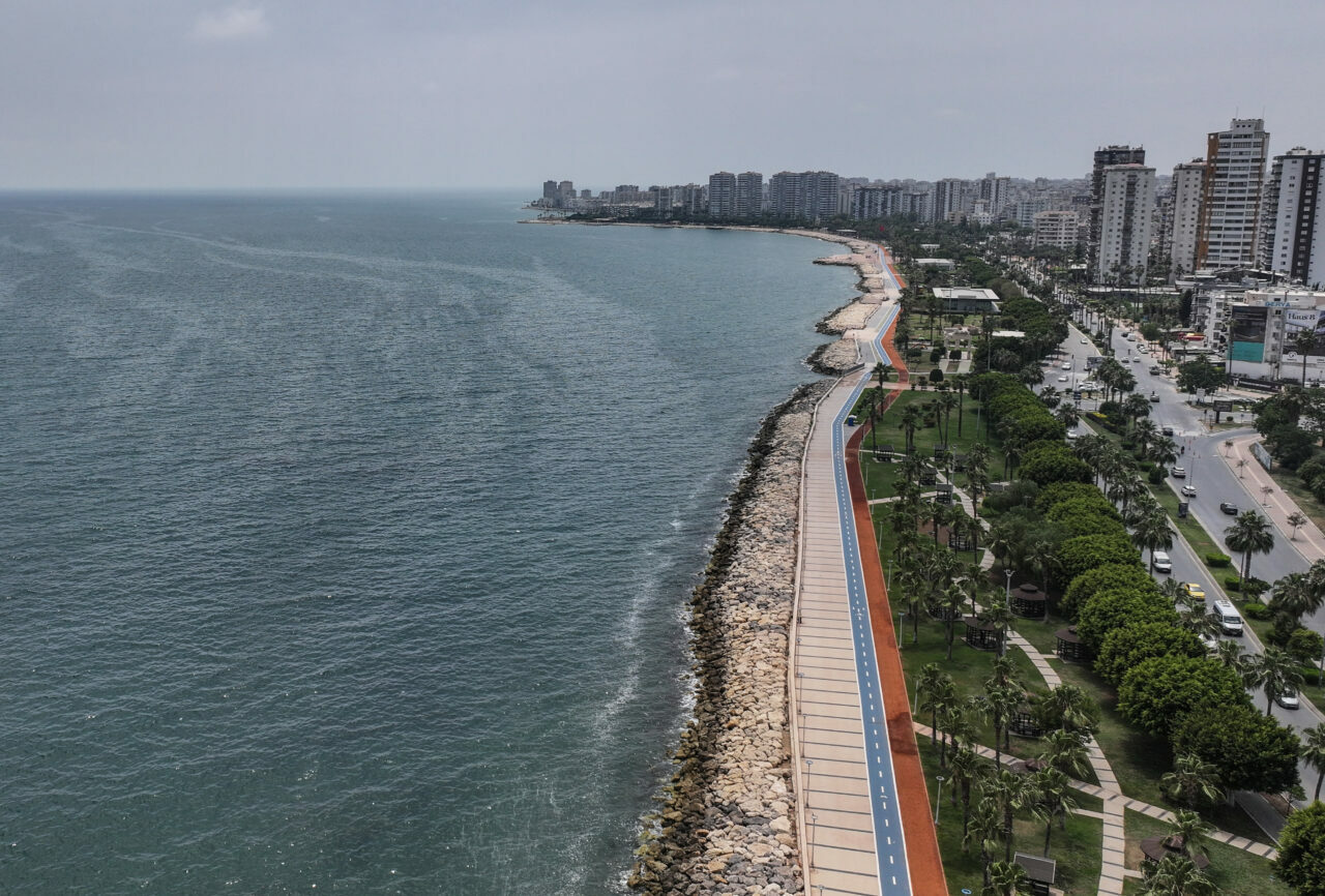 Akdeniz ve Ege’deki köpek balıkları saldırgan mı?