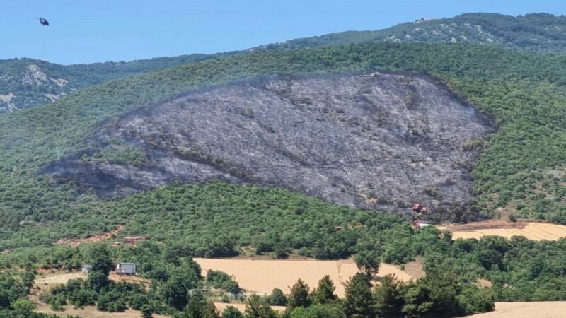 Bursa’daki orman yangınıyla ilgili yeni gelişme! Bursa’nın Yenişehir ilçesine bağlı Selimiye ile Menteşe mahalleleri arasındaki ormanlık