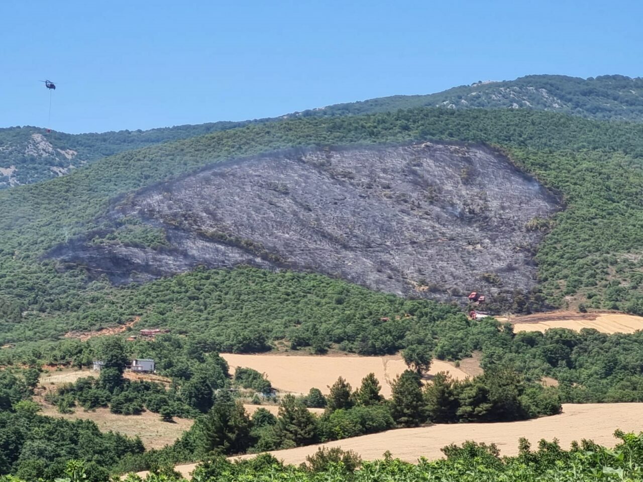 Bursa’daki orman yangınıyla ilgili yeni gelişme!
