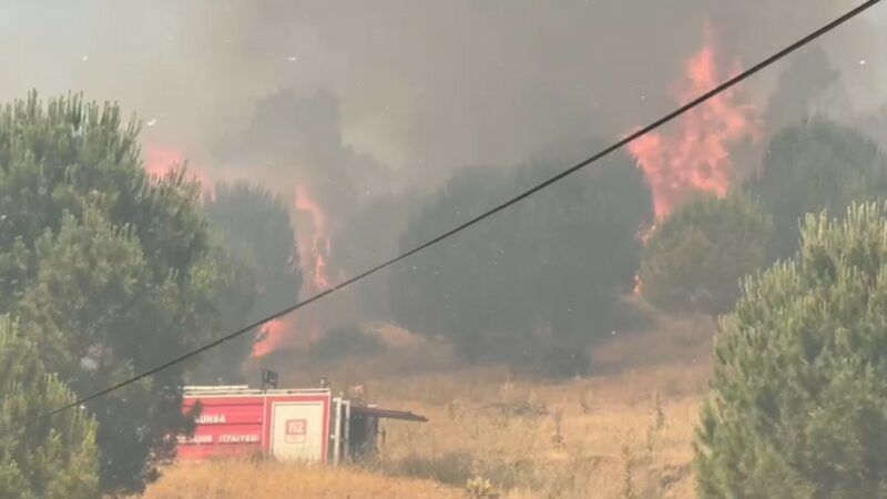 Bursa Büyükşehir Belediyesi İznik'te çıkan orman yangını ile ilgili bilgilendirme