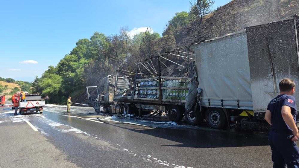 Bursa’da seyir halindeki tır alev aldı ateş ormana sıçradı…