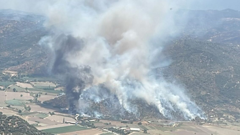 Aydın’da zeytinlik alanda yangın