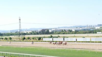 Nilüfer Belediye Başkanlığı Koşusu’nun galibi ‘Taşan’