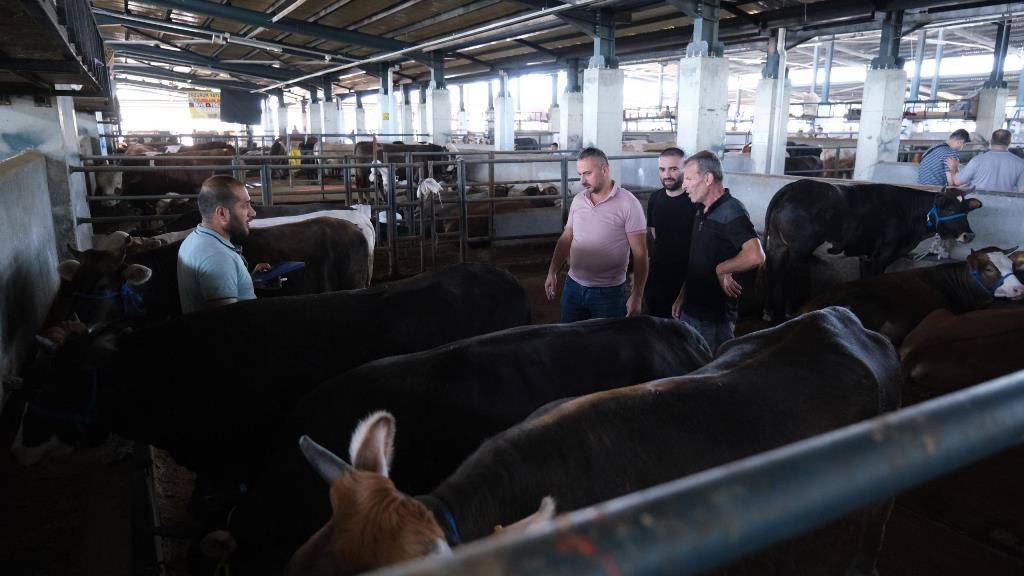 Bursa’da hayvan pazarında ne kadar kurbanlık satıldı? İşte rakamlar