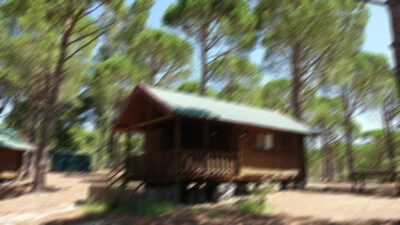 Bungalov ilanıyla milyonluk vurgun