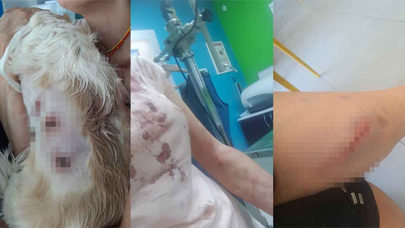 Bursa’da genç kadın dehşeti yaşadı