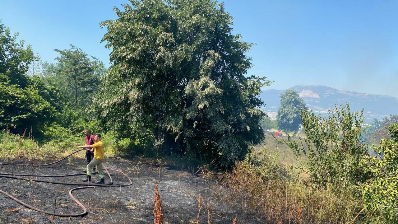 Bursa’da bir orman yangını daha! Yürekler ağza geldi Bursa’da bir orman yangını daha! Yürekler ağza geldi
