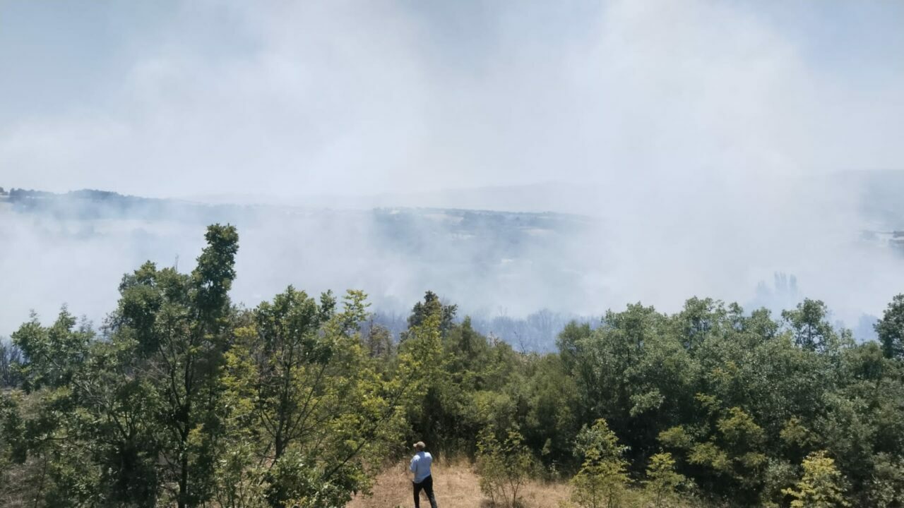 Bursa’da bir yangın daha! Şimdi de o ilçede… Bursa’da bir yangın daha! Şimdi de o ilçede…