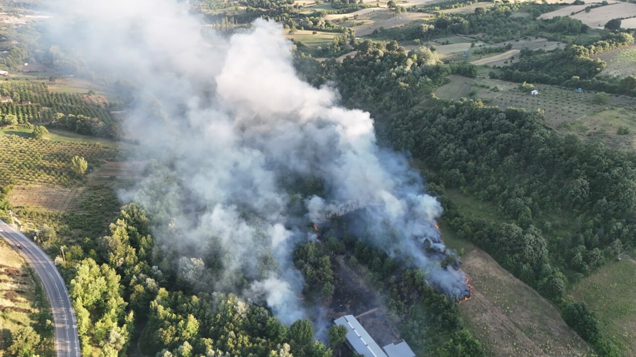 Bursa’da yeni yangın! Ormana sıçradı… Bursa’da yeni yangın! Ormana sıçradı…