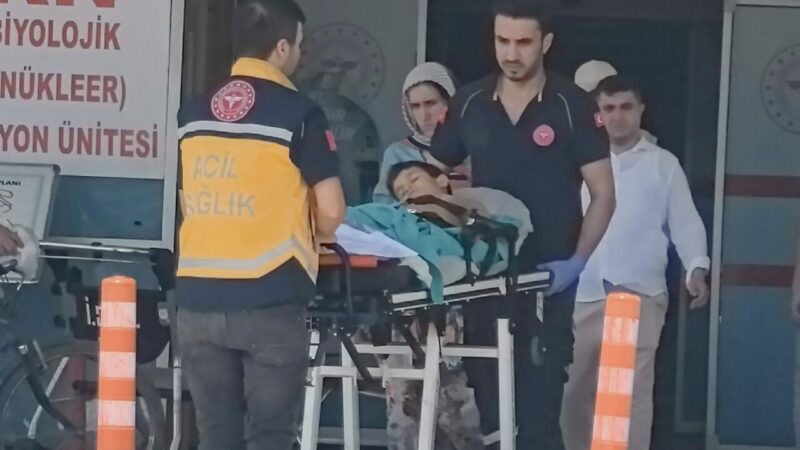 Bursa'nın İnegöl ilçesinde, kurban kesilen bahçede oyun oynarken dengesini kaybedip