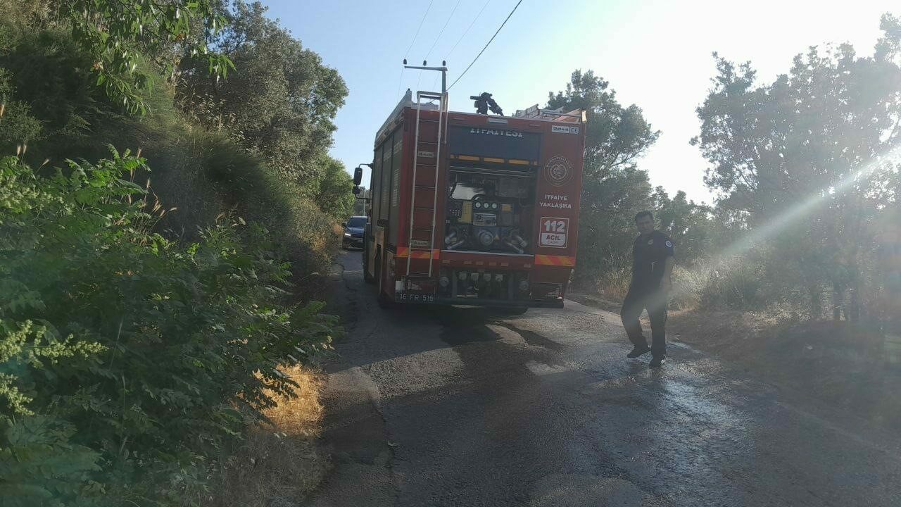 Bursa’da karga yangın çıkardı