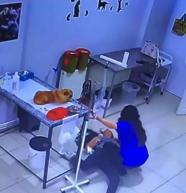 Bursa’da köpeğini tedavi ettirmeye gitti, kendi bayıldı