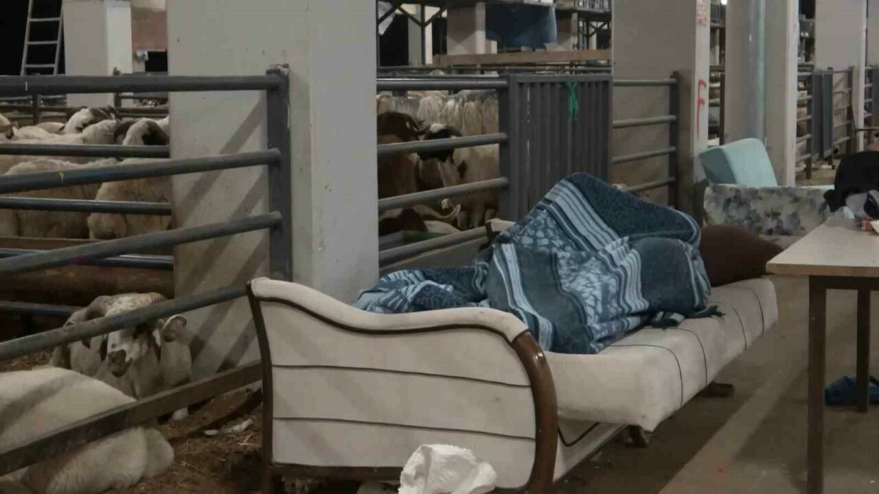 Bursa’da koyunlarla ’koyun koyuna’ nöbet Bursa’da koyunlarla ’koyun koyuna’ nöbet