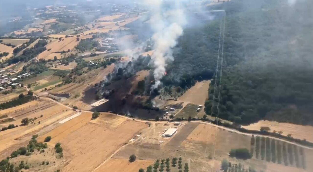 Bursa’daki yangınlarla ilgili yeni gelişme!