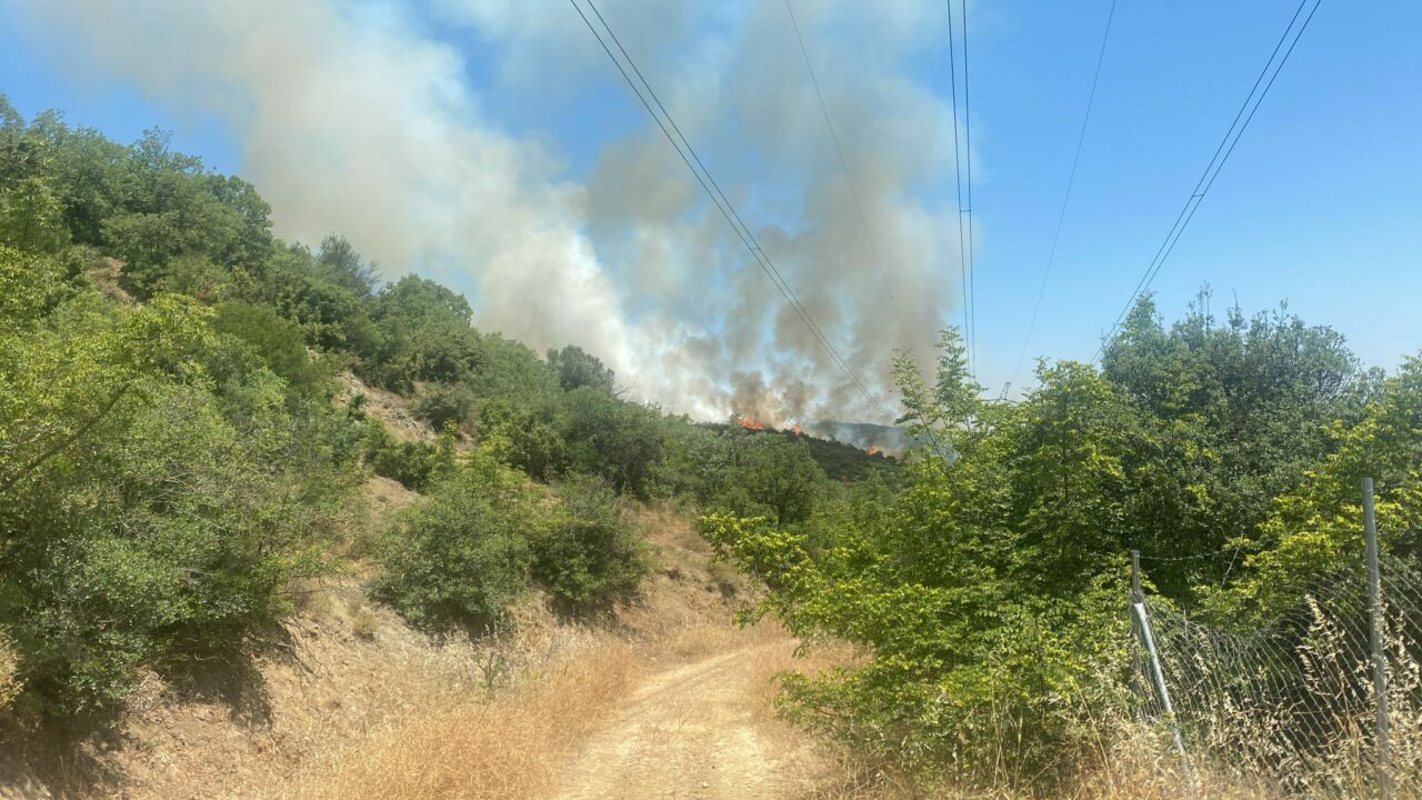 Bursa’da orman yangınıyla ilgili yeni gelişme! Bursa’da orman yangınıyla ilgili yeni gelişme!