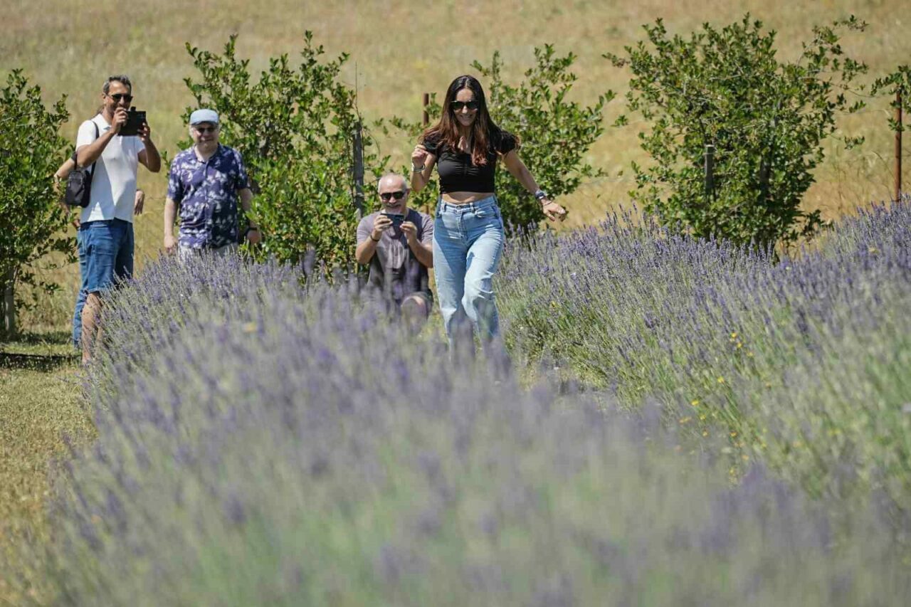 Bursa’da turistler buraya akın ediyor! Doktorun şifalı bahçesini gören koşa koşa gidiyor…
