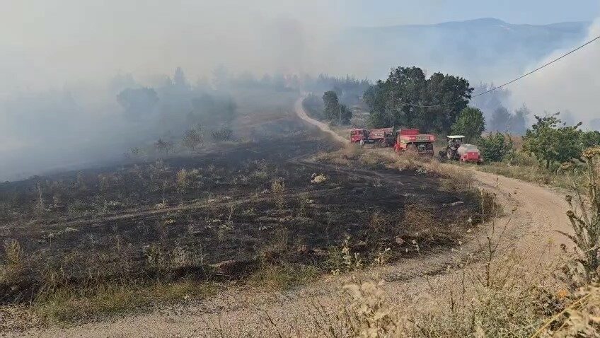 Orhaneli’deki orman yangınıyla ilgili Bursa Valiliği’nden açıklama