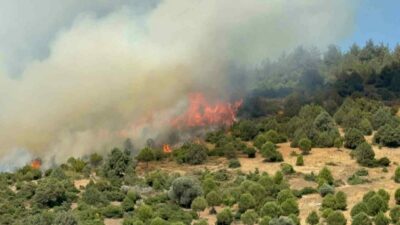 Bursa’da orman yangını! Mahalle tahliye ediliyor…
