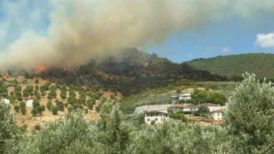 Bursa’da orman yangını!