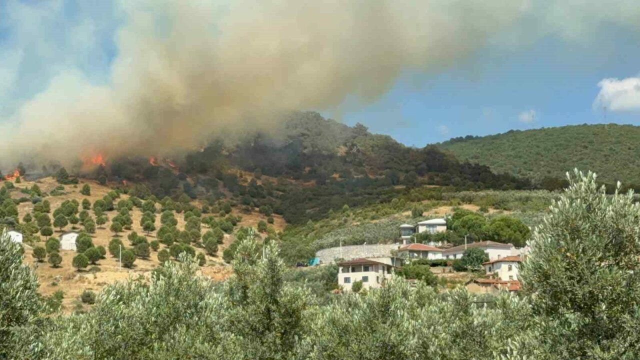 Bursa’da orman yangını!
