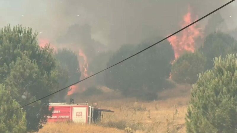 Büyükşehir Belediye Başkanı Mustafa Bozbey, İznik'te çıkan yangını kontrol altına