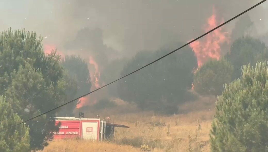 Bursa İznik’teki yangınla ilgili açıklama