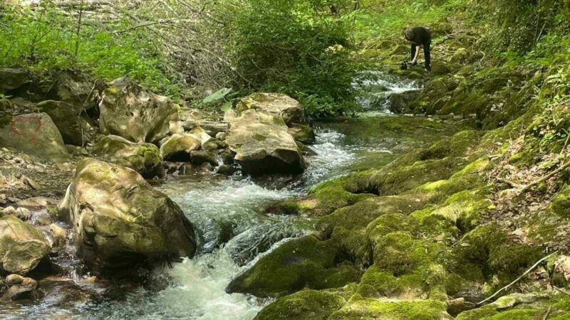 Bursa’nın saklı hazinesi! Doğa tutkunlarını bekliyor Bursa’nın İznik ilçesinin Samanlı Dağları’nda yer alan doğa harikası Sansarak