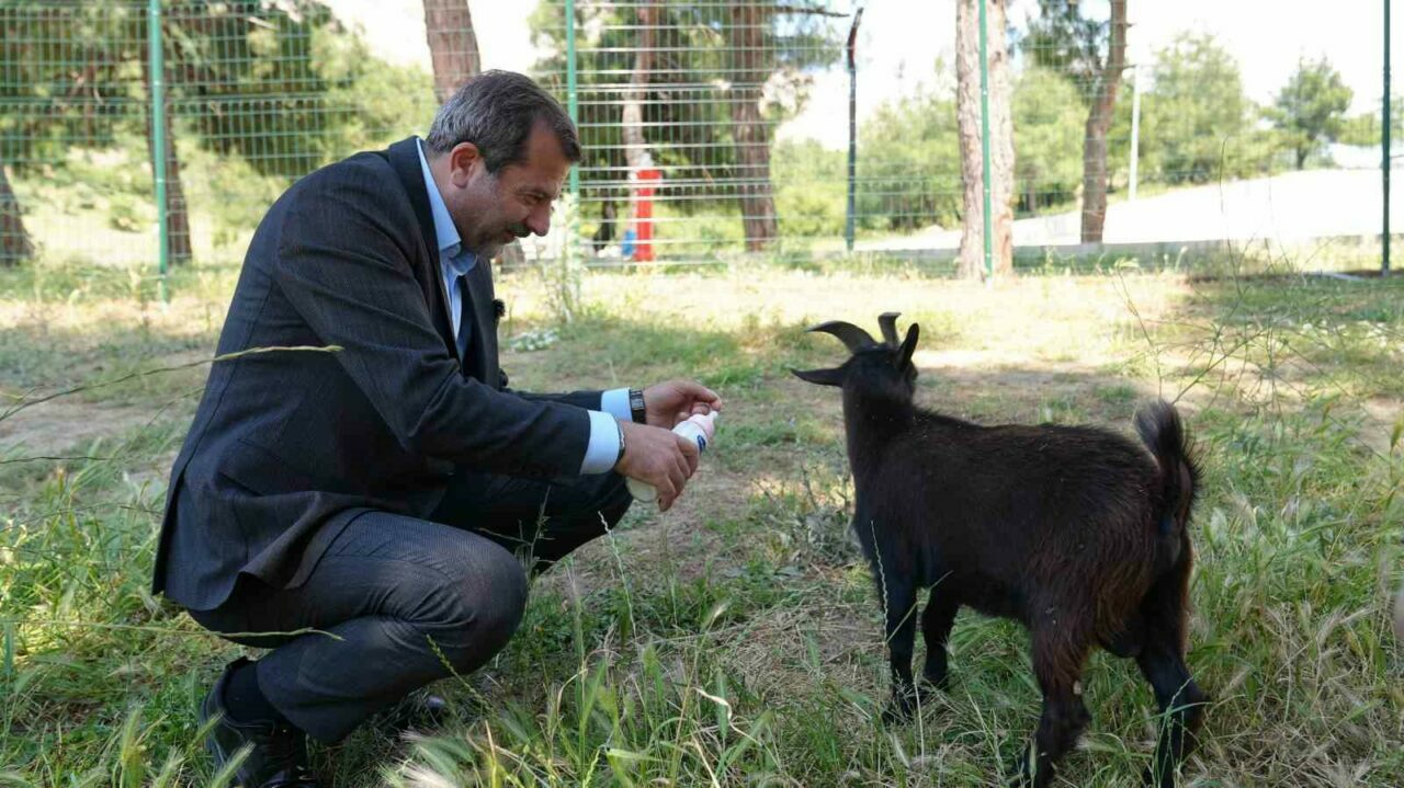 Bursa’ya yeni hayvanat bahçesi