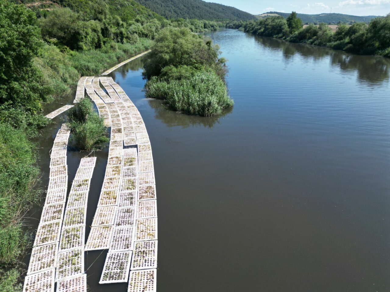 DOSAB’ın sponsorluğundaki ‘Marmara için umut projesi’nde start verildi