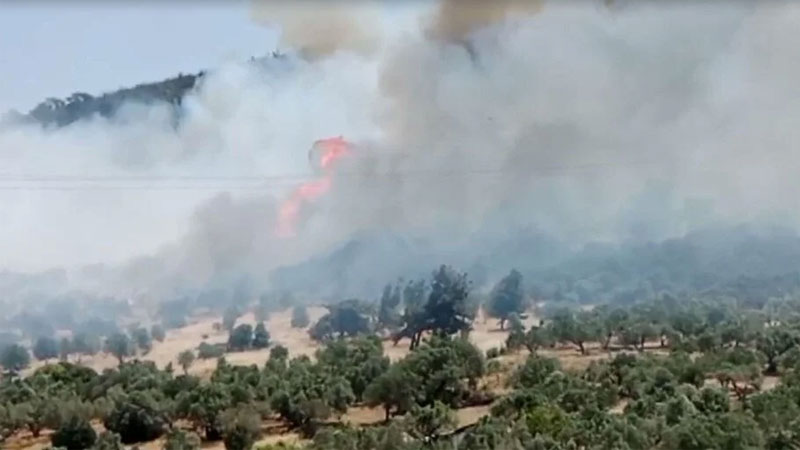 İzmir’de orman yangını: Alevler evlere sıçradı