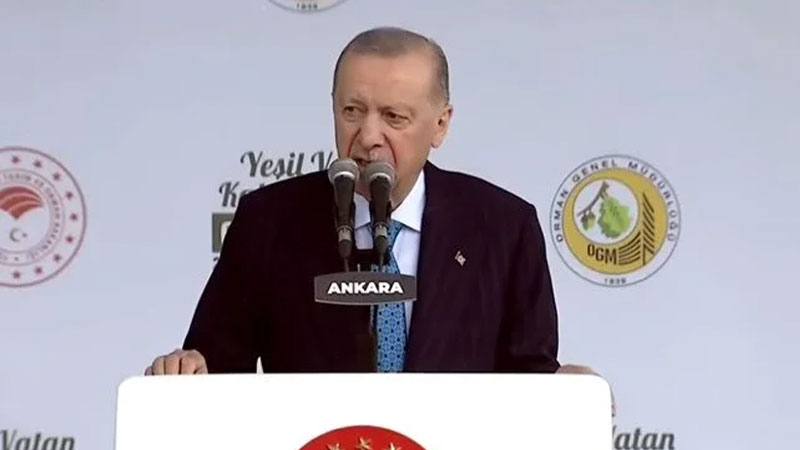 Cumhurbaşkanı Erdoğan: Orman varlığımız tehdit altında