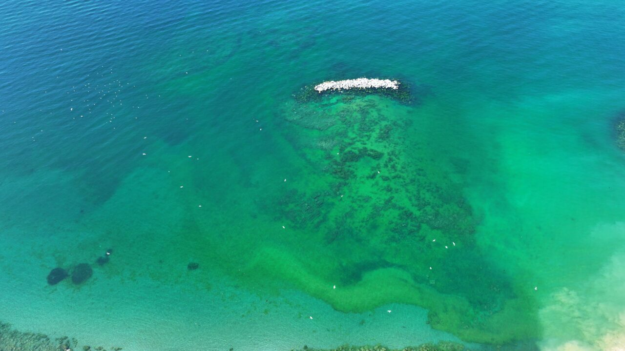 Görüntü Marmara Denizi’nden! Yoğunluk devam ediyor Görüntü Marmara Denizi’nden! Yoğunluk devam ediyor
