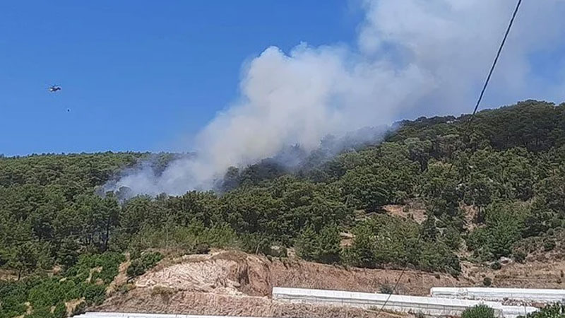 Bir ilde daha orman yangını Bir ilde daha orman yangını