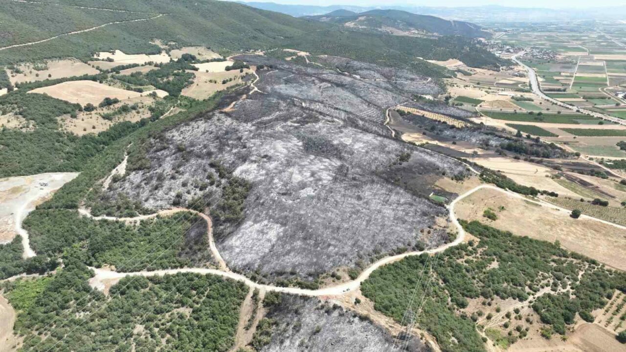 Bursa’daki yangının acı bilançosu