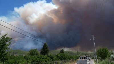 İzmir’de orman yangını