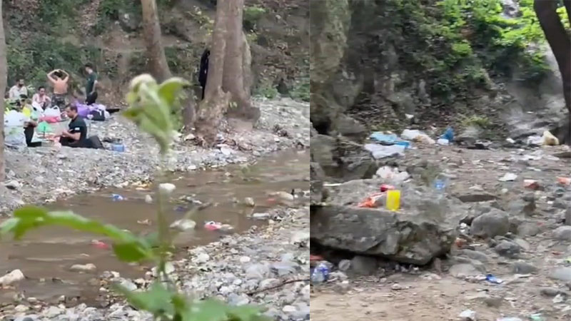 Bursa’da içler acısı görüntü: Vatandaş isyan etti, çöpten geçilmiyor!