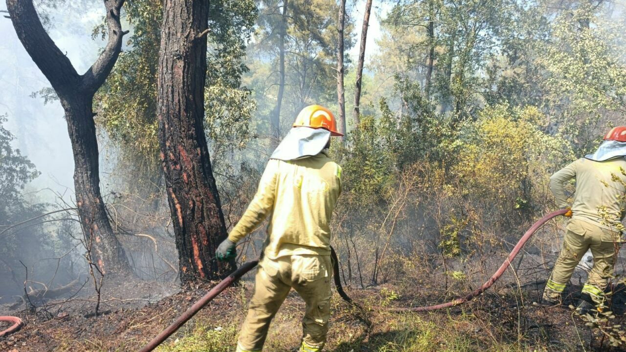 Osmaniye’de orman yangını çıktı Osmaniye’de orman yangını çıktı