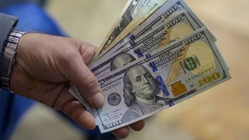 Dolara ne olacak? Dev banka yorumladı