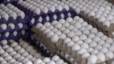 İşte mayısta fiyatı en çok artan ve en fazla düşenler