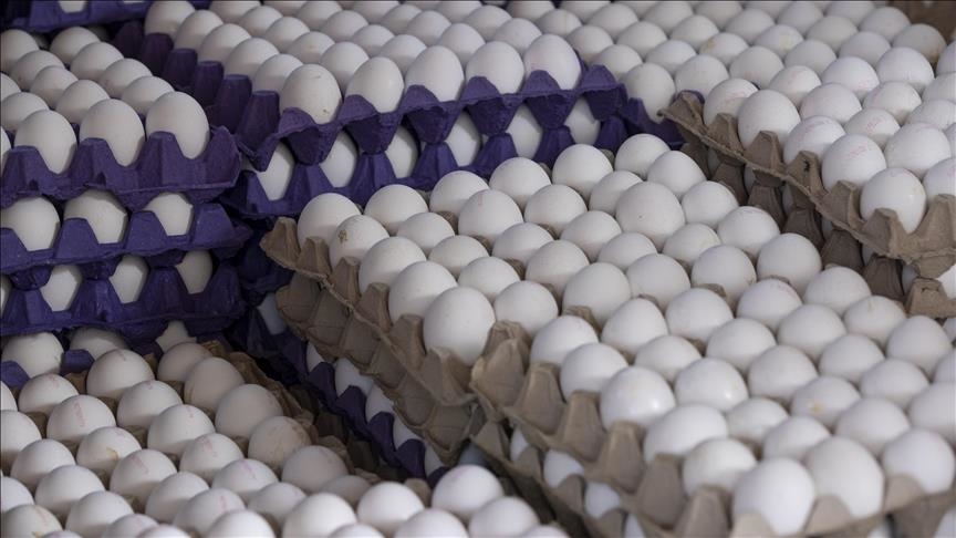 İşte mayısta fiyatı en çok artan ve en fazla düşenler