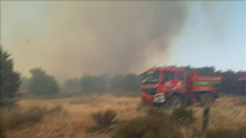 Bursa Orhaneli’de anız yangını