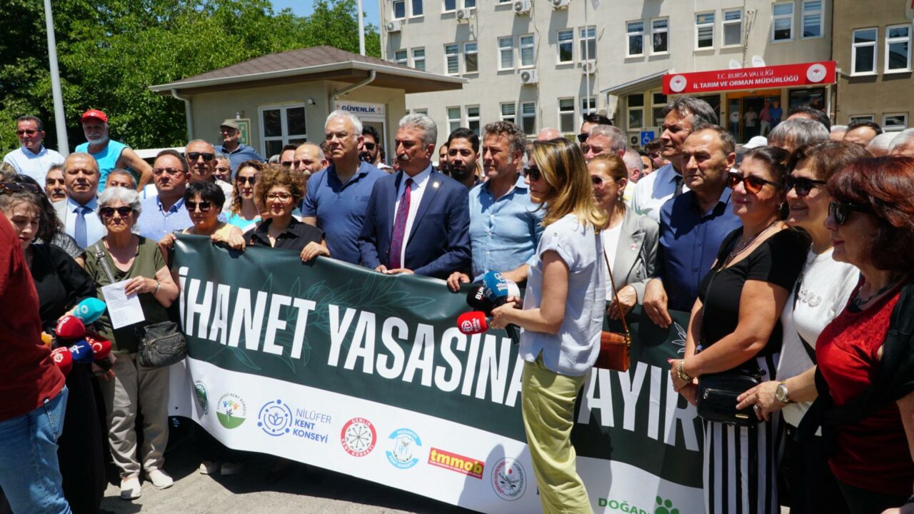 Bursa’da doğa savunucuları zeytinlikler için alanlara çıktı Bursa’da doğa savunucuları zeytinlikler için alanlara çıktı