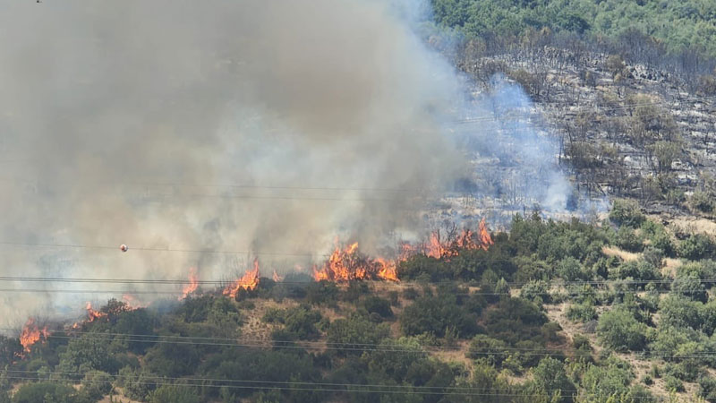 Bursa’da 7 noktada yangın: Başkan Bozbey’den hayati çağrı!
