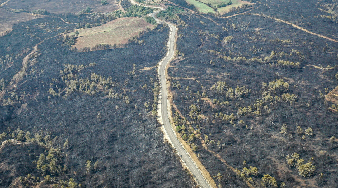 Yürek yakan görüntüler! Bursa’nın yanıbaşı küle döndü