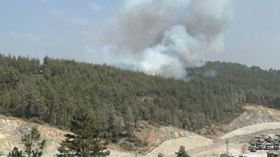 Bursa Harmancık’ta yeni yangın